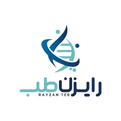 logo rayzan